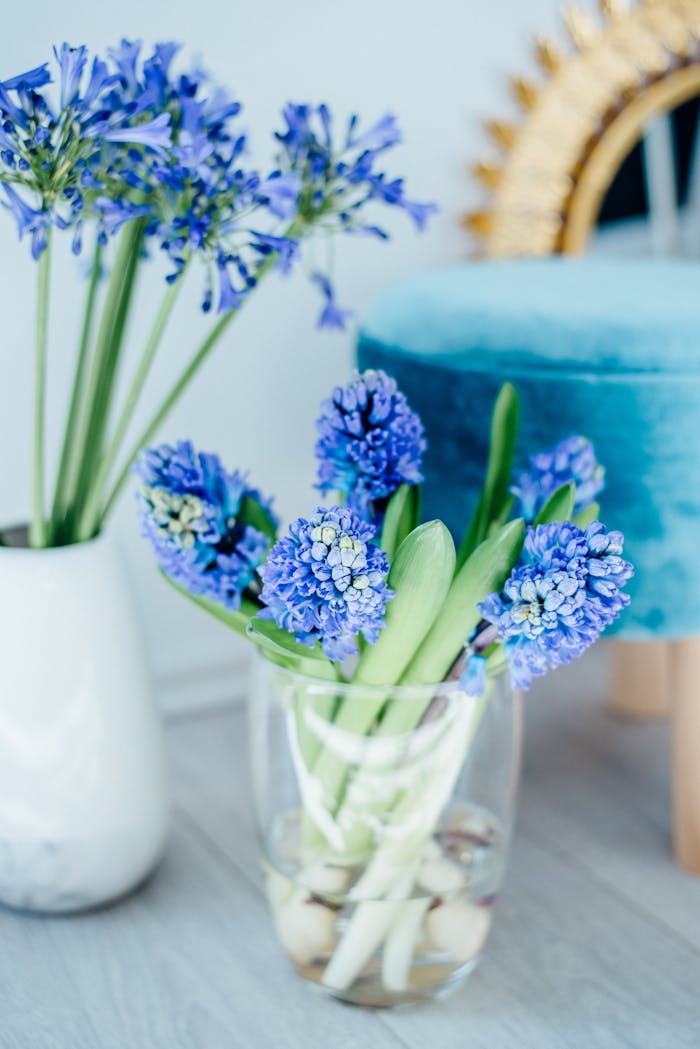 Vibrant purple hyacinths beautifully arranged in a glass vase, set in a stylish indoor scene.
